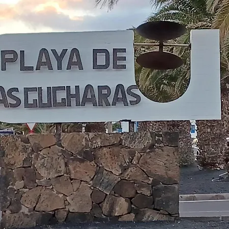 Sonia Costa Teguise