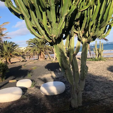 Sonia * 科斯塔特吉塞