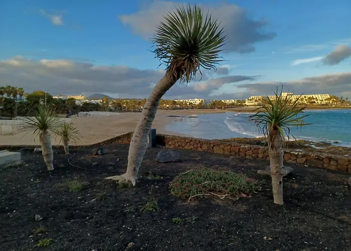 Διαμέρισμα Sonia